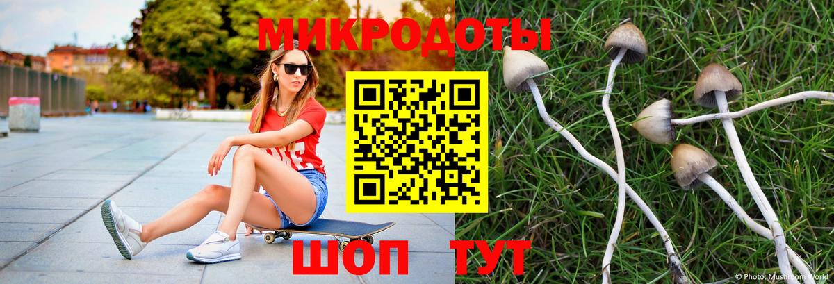 Старая Купавна  Галлюциногенные грибы MAGIC MUSHROOMS  Вход с VPN  Галлюциногенные грибы ЛСД 