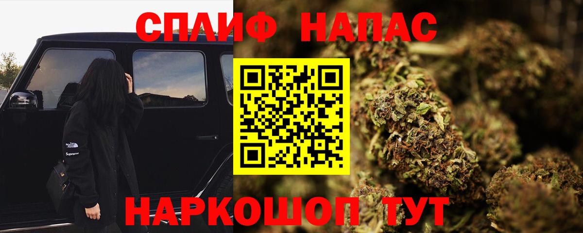 Бошки Шишки MAZAR Старая Купавна